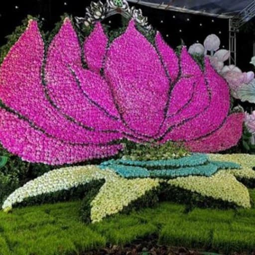 Lễ hội Sen Hà Nội 2026